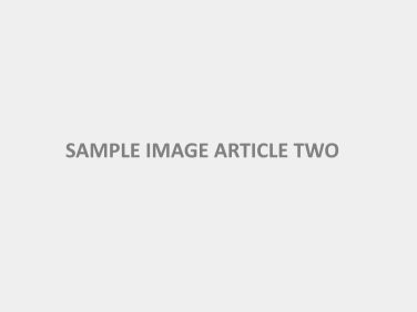 sample-image-article-two